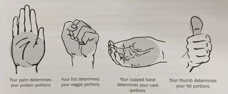 Precision Nutrition's hand-sized portion guide. (protein = palm, carb = cupped palm, fat = thumb, veggie = fist)